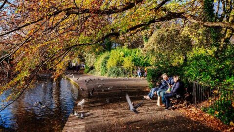Autumn offers